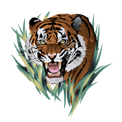 angry tiger face drawing