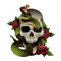 skull snake and roses. illustration. engraving style png