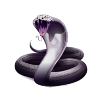 Snake. Cobra. hand drawn illustration of snake. Occult poster, t-shirt print, cover. png