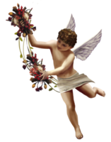 valentijnsdag dag cherubijn engel, Cupido, sticker, fictief karakter, cherubijn PNG