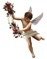 san valentino giorno cherubino angelo, Cupido, etichetta, immaginario carattere, cherubino png