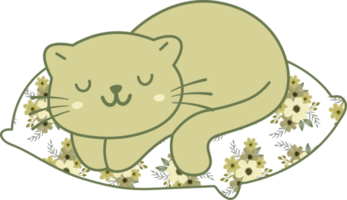 gato bonito dormindo em um personagem animal de desenho animado desenhado à mão de travesseiro colorido. design de personagem de desenho animado png