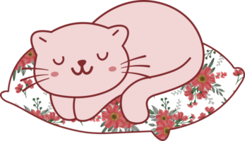 Cute cat sleeping on a colorful pillow hand drawn cartoon animal character. Cartoon character design png