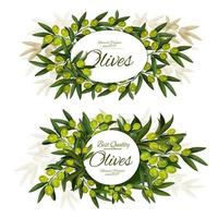 Extra virgin olive bunch round label vector