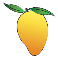Mango isolated on transparent background , fruit line art isolated png