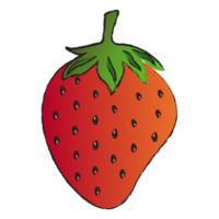 fraise isolée sur fond transparent, dessin au trait de fruits isolé png