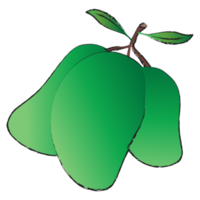 bouquet de mangues isolé sur fond transparent, dessin au trait de fruits isolé png