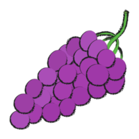 raisin isolé sur fond transparent, dessin au trait de fruits isolé png