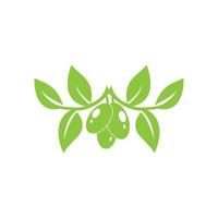 conjunto de diseño de ilustración de vector de logotipo de oliva