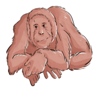 orangutang vattenfärg illustration png