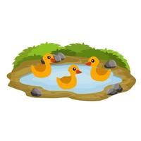 Ducks in pond. Chicken swims in lake. Animal in wild and forest. Child of bird in water. Flat cartoon. vector