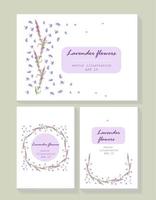 Lavender background card template collection. Vector card