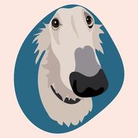 Illustration of a long hound greyhound on a blue background. afghan hound, a Russian greyhound. White dog, portrait of a dog. Printing on paper and textiles vector