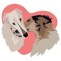 A pair of long hounds of greyhounds embrace against the background of a heart. The love of dogs. Valentine's Day greeting card. A festive banner with dogs. Printing on paper and textiles vector