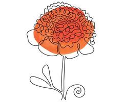 peony,hand drawn, continuous mono line, one line art. Painted with watercolor vector