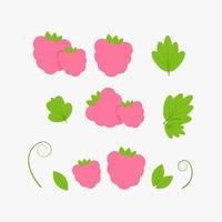 Set of pink raspberries in different combinations and green raspberry leaves vector