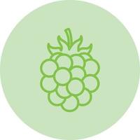 Blackberry Vector Icon