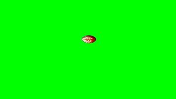 bal rugby stuiteren groen scherm video