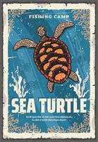 Sea turtle in ocean coral reefs vector