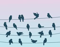 Sparrow birds flock on power line wires background vector