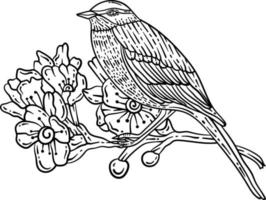 Bird Branch Spring Coloring Page for Adults vector