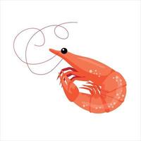 Asianfood. Raw Orange Shrimp On A White Background. Element For Design vector