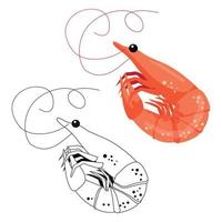 Asianfood. Raw Orange Shrimp On A White Background. Element For Design. Color And Black And White vector