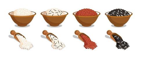 Asianfood. Asianfood. Different Types Of Rice In Cups And On Spoons. White, Red, Brown, Black Rice. Poster vector