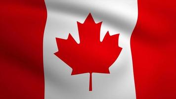 Canada Flag Stock Video Footage for Free Download