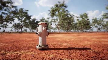 old rusted fire hydrant in desert photo