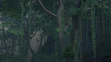 Deep tropical jungle in darkness photo