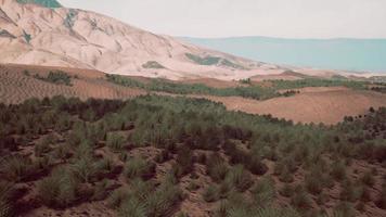 sand desert with some grass photo