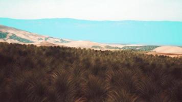 Mohave Desert landscape with blue cloudy skies photo