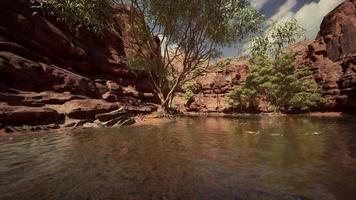 Reflection in Colorado River of Butte catching days last rays, in Grand Canyon. photo