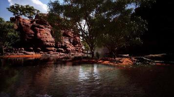 Reflection in Colorado River of Butte catching days last rays, in Grand Canyon. photo