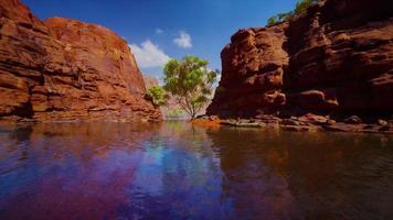 reflejo en el río colorado de butte atrapando los últimos rayos del día, en el gran cañón. foto