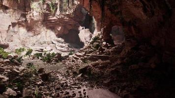 Stunning ancient cave in the tropical forest photo