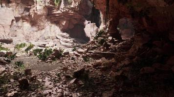 View from inside a dark cave photo