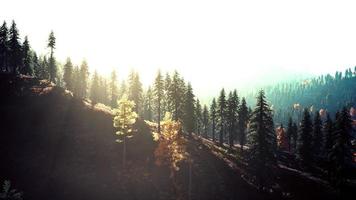 Sunset in the mountains with forest and shining sun photo