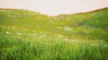 Green Grass Landscape with Hills and Blue Sky photo