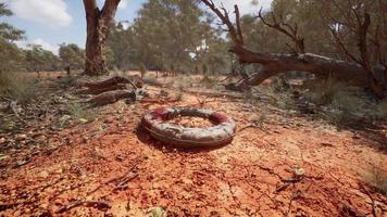 life ring buoy in desert beach photo