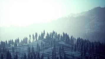 Snowy Ural mountains in winter photo