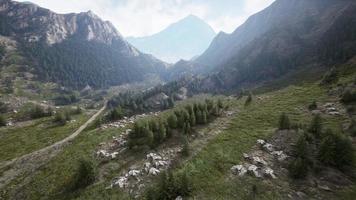 Mountain path hiking to woods pathways photo