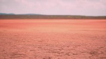 tierra seca agrietada sin agua foto