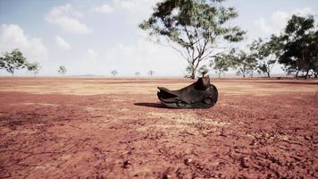 Old decorated mexican saddle lying on sand photo