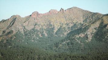 Mountains covered with woods in the early morning mist photo