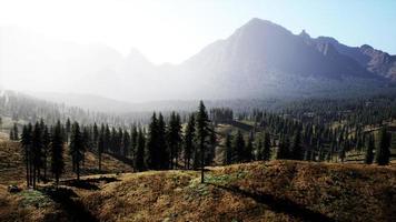 hermosa vista a la montaña con bosque de pinos foto