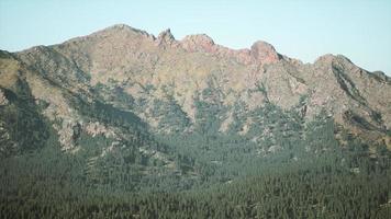 spruce and pine trees and mountains of Colorado photo