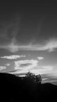 imagen vertical del paisaje, cielo vintage de nubes blancas, árbol alto con vista superior a la luz del día, con fondo de montaña alrededor del campo. tailandia foto