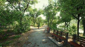 Walking Street With Natural View In Public Park photo